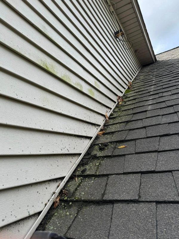 Dirty roof shingles