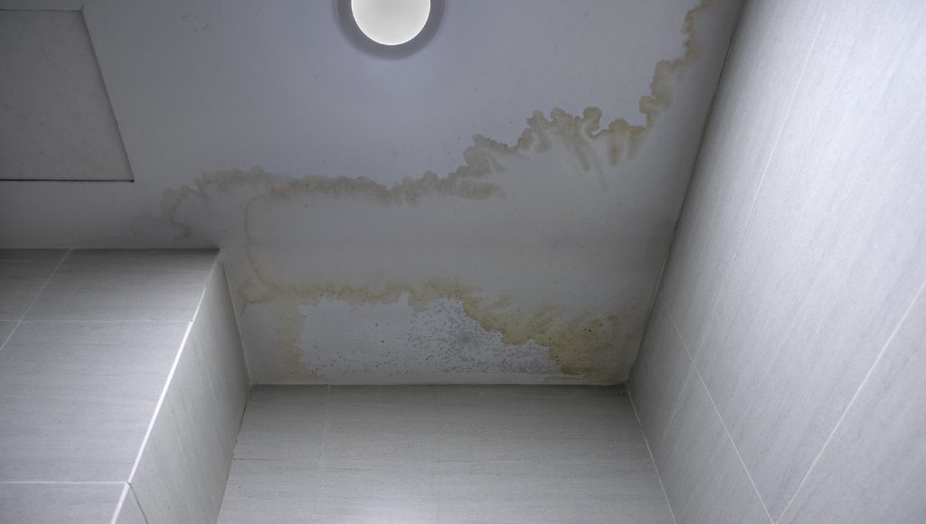 Water stains on a white ceiling from a leaking roof.
