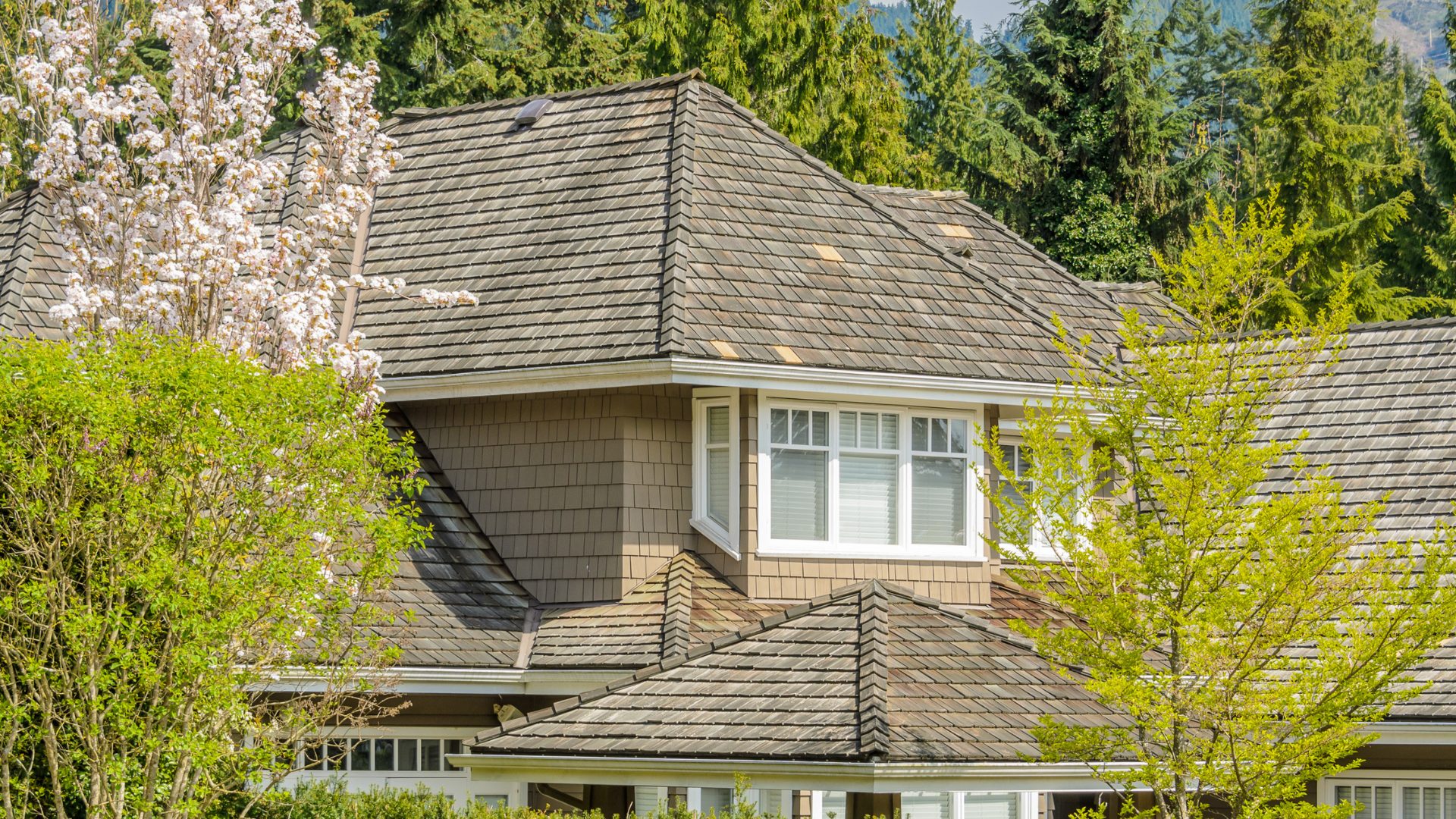 Missing shingles NORR A suburban home with multi-level sloping roofs and a few missing shingles, surrounded by trees.