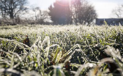 When Is It Too Cold for Roof Replacement in Ohio?